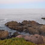 Cambria_0563 (November 02, 2013)
